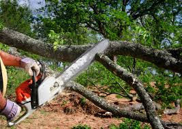 Best Commercial Tree Services  in Ladue, MO
